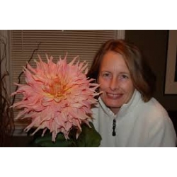 PENHİLL WATERMELON DAHLİA